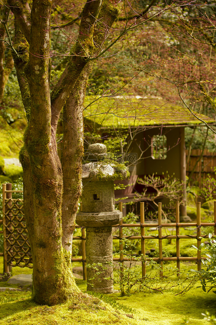 日本花园岩石石头传统花园城市乡村文化宗教公园松树图片