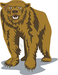 棕熊艺术品动物森林插图荒野背景图片