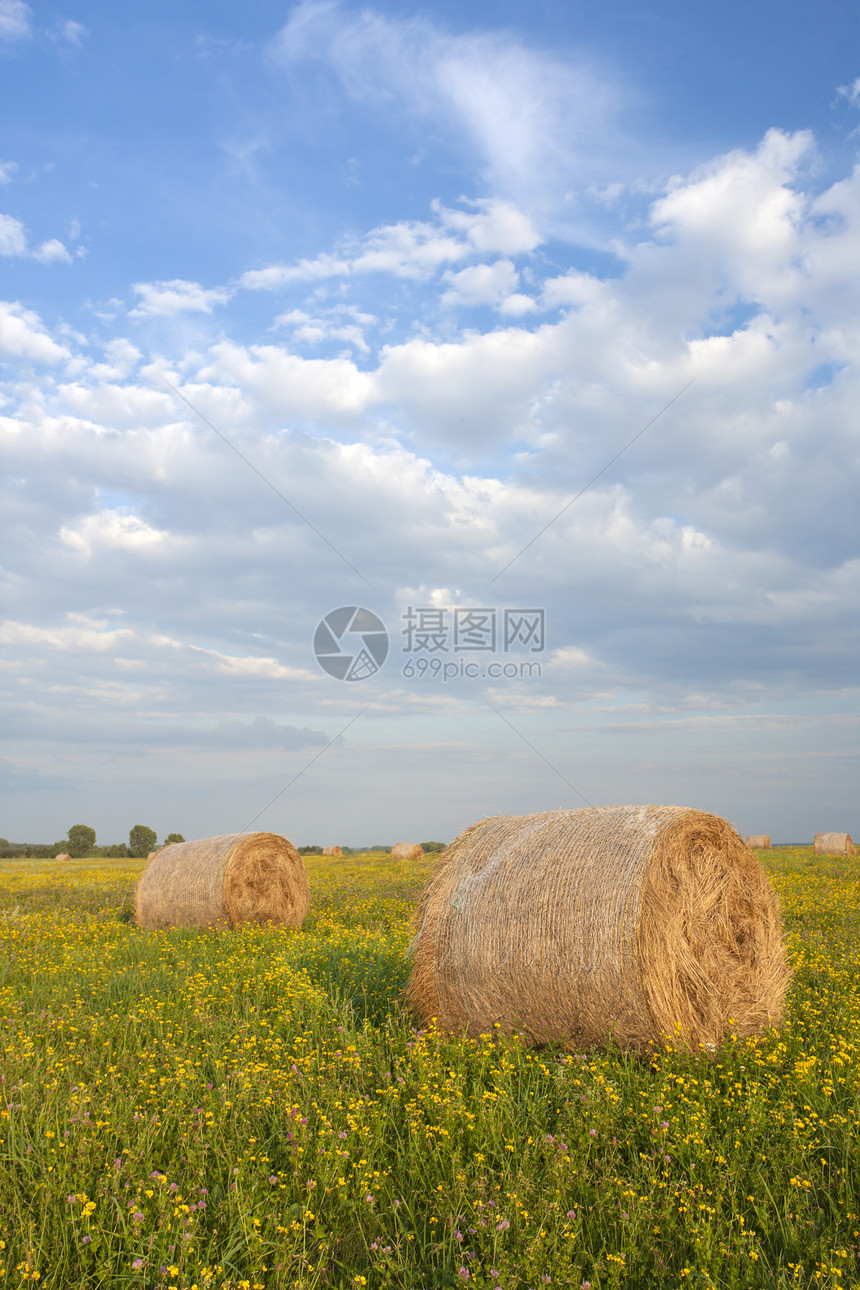 干草场地收获天空风景农业庄稼农场图片