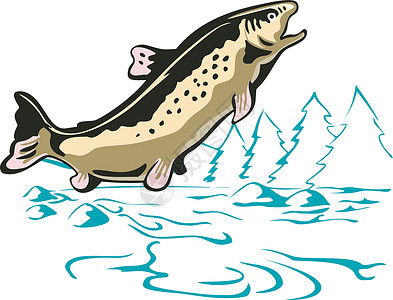 香酥鱼皮鱼皮动物艺术品海洋生物斑点插图野生动物插画