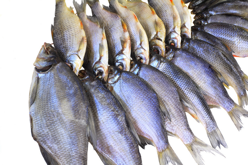 白底的盐河和干河鱼类对象食物钓鱼爱好鲫鱼映射图片