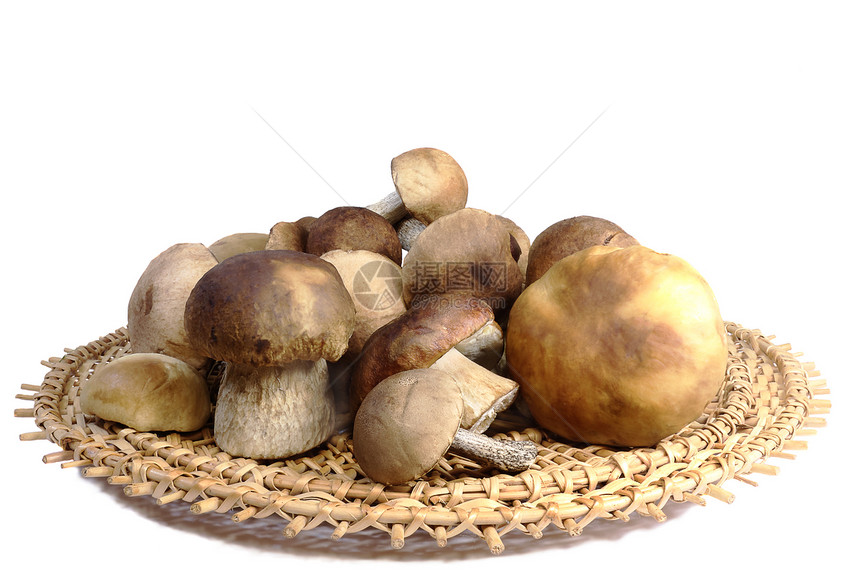 白色背景的树枝盘里的蘑菇远足产品篮子柳条生长季节森林餐饮食物烹饪图片