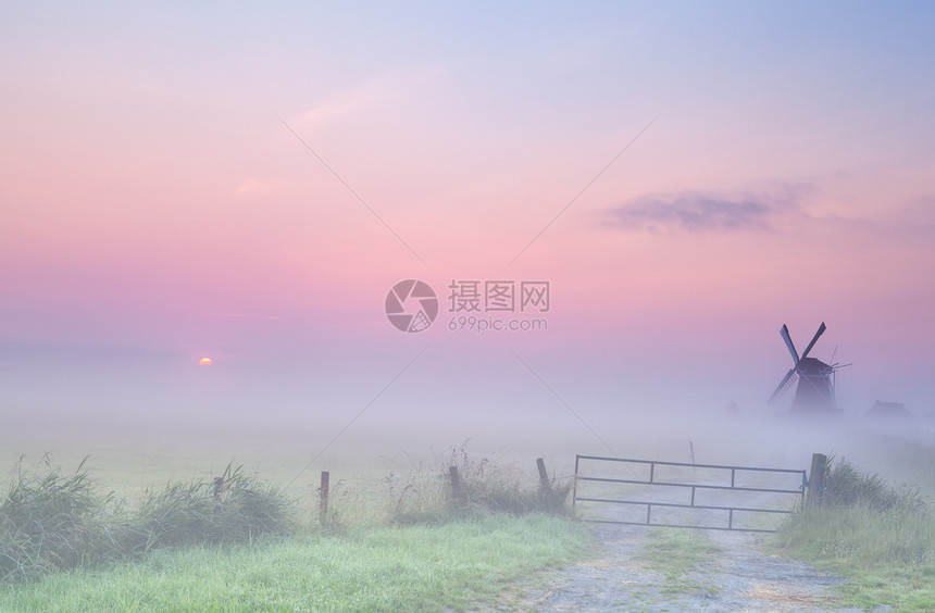 荷兰农田上弥雾日出文化旅行栅栏农村太阳空气草地牧场天空薄雾图片