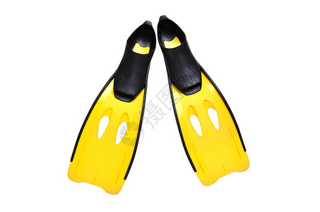 分离的黄鳍旅游身体黄色黑色活动娱乐运动脚蹼潜水员白色背景图片