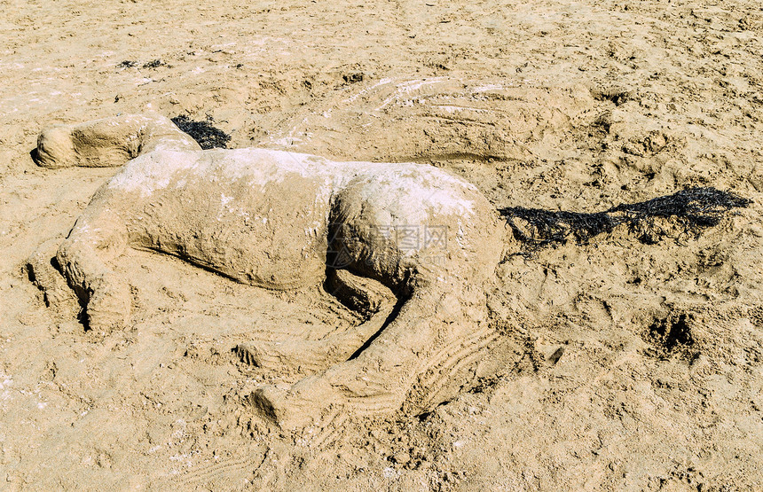 沙沙艺术海滩雕塑海藻图片