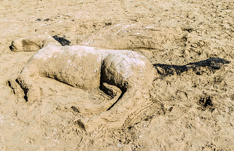 沙沙艺术海滩雕塑海藻背景图片