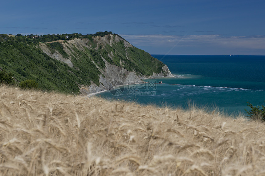 波托诺沃湾太阳小麦海滩海角树木海岸线麦田海岸假期图片