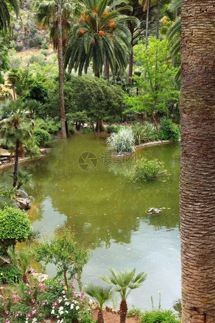 在一个园林中清静的池塘图片