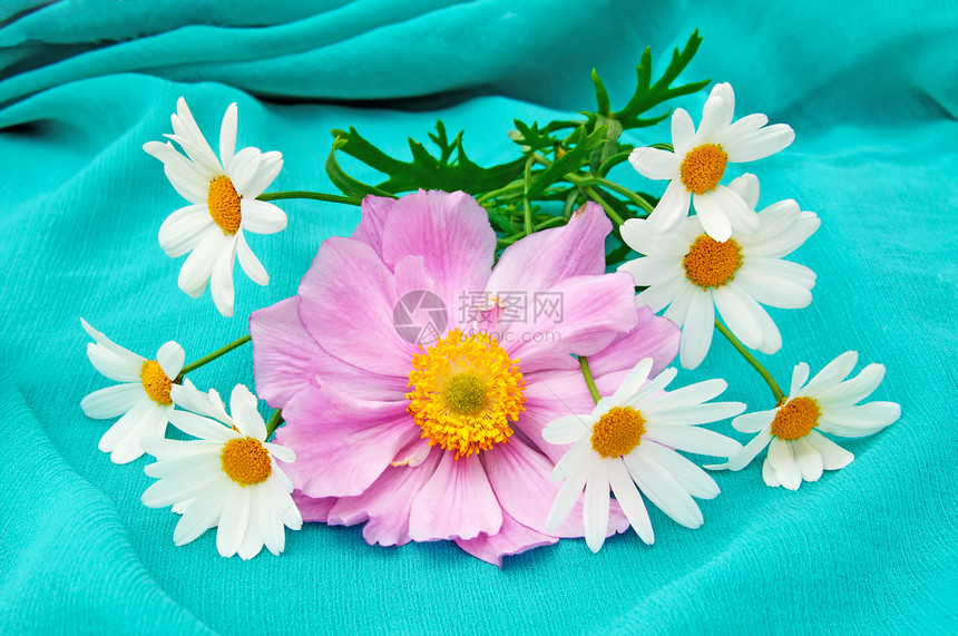日美阿葵和白蚁海葵风格粉色花束薄荷白色织物说谎装饰花朵图片