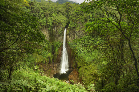 陨石瀑布哥斯达黎加生态旅游植被目的地陨石旅行自然现象岩石瀑布森林背景