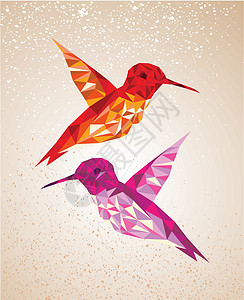 色彩多彩的蜂鸟插图卡片紫色白色创造力反射飞行瓷砖翅膀作品红色背景图片