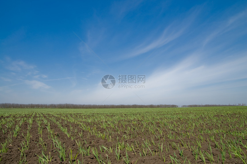 农村观点农田牧场地平线场地生长蓝色谷仓天空国家小麦图片