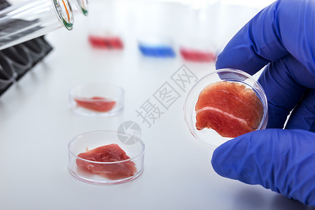 在实验室条件下从干细胞中培养出来的肉类高清图片