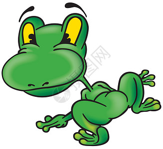 青蛙插图绘画绿色手绘动物漫画动画片两栖卡通片背景图片