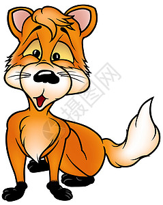 小狐狸荒野漫画动物绘画轴承动画片哺乳动物橙子毛皮插图背景图片