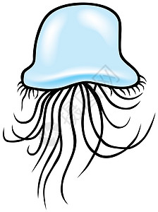 水母鱼海洋绘画插图海上生活卡通片漫画动画片手绘动物背景图片