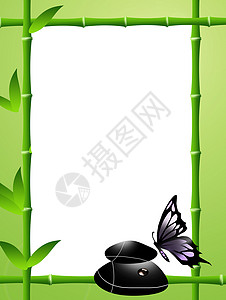 竹子框竹竹框皮肤生长巨石温泉福利植物边界平衡绿色蝴蝶背景