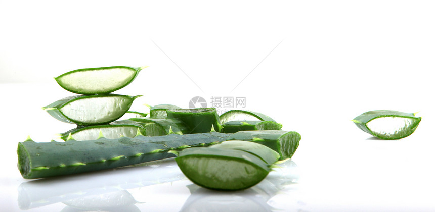 白上隔离的 Aloe vera 植物生长沙漠叶子宏观皮肤治愈草本植物药品化妆品植物学图片