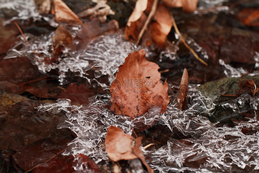 冰雪宏观火花溪流冰柱水晶冻结流动图片