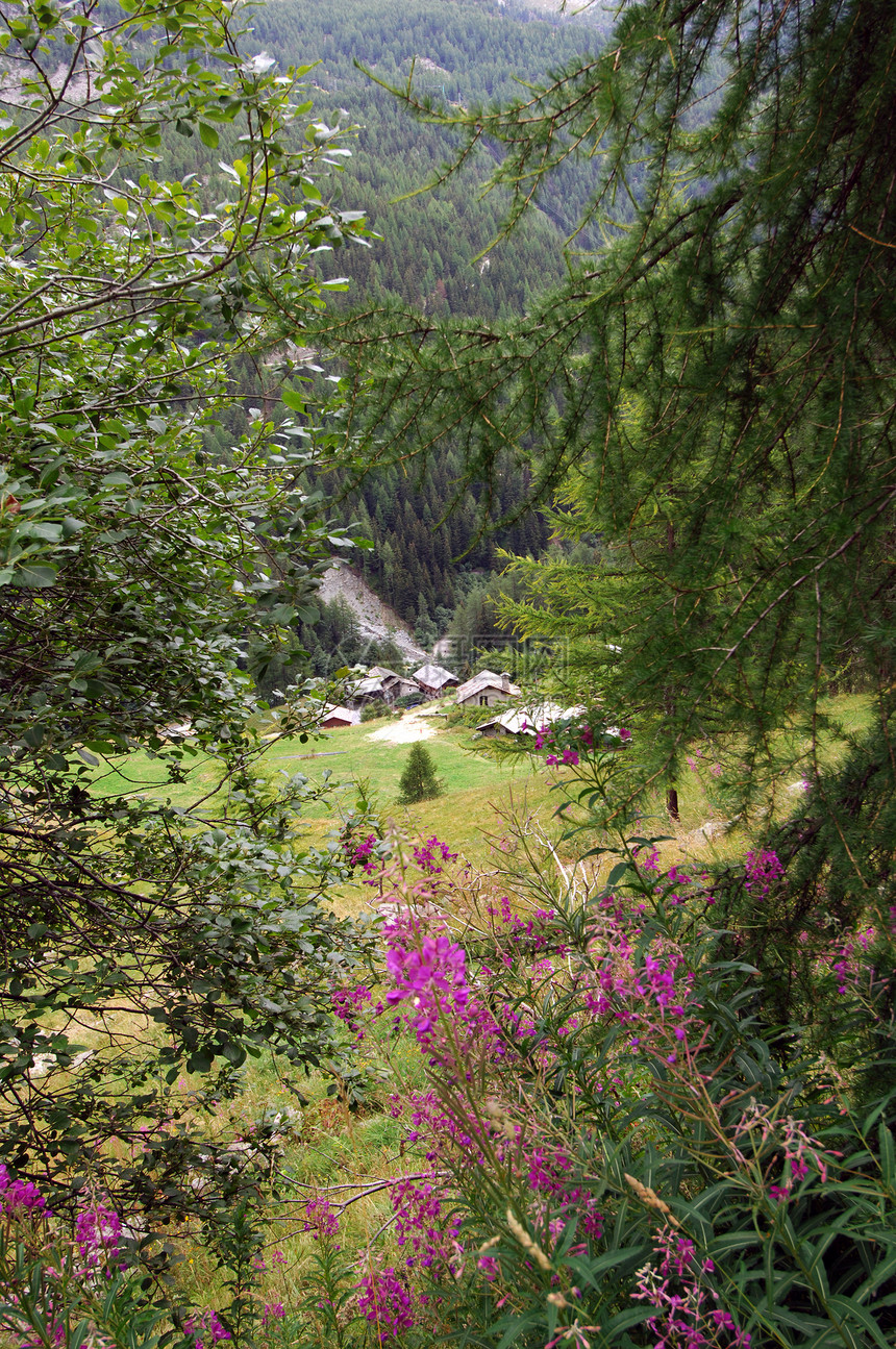 奥斯塔谷村庄旅行森林植物群风景高山树木风景区鸟瞰图假期图片