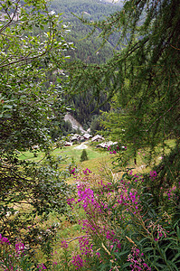 瓦利达奥斯塔奥斯塔谷村庄旅行森林植物群风景高山树木风景区鸟瞰图假期背景