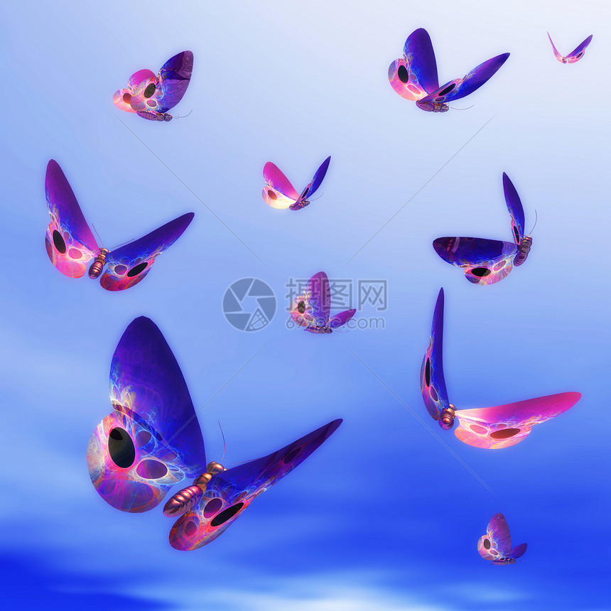 蝴蝶翅膀飞行昆虫天空亮度流行音乐动物叶子插图图片