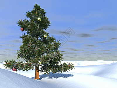 圣诞树景观插图天空背景图片