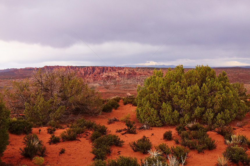 红沙漠土壤背包风景蓝色国家侵蚀山脉旅行踪迹峡谷图片