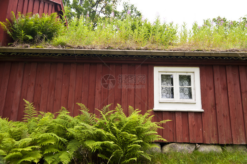 瑞典的房屋建筑学木材生态构图木屋绿色屋顶建筑绿化红色图片