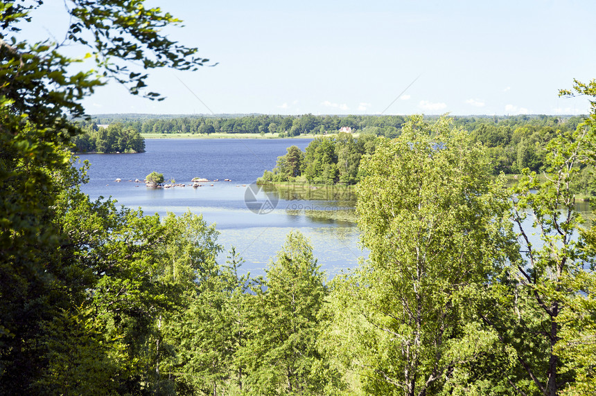 瑞典Asnen湖自然保护区树木旅行牧歌森林水域图片
