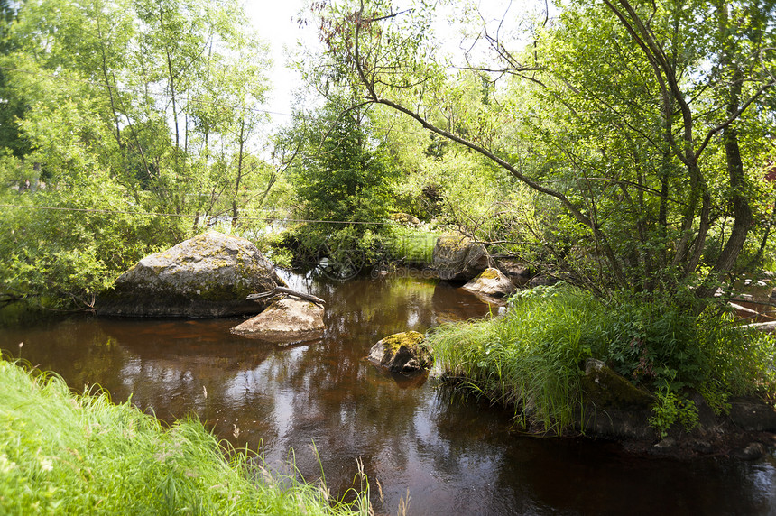 瑞典的河流牧歌森林树木旅行水域自然保护区图片