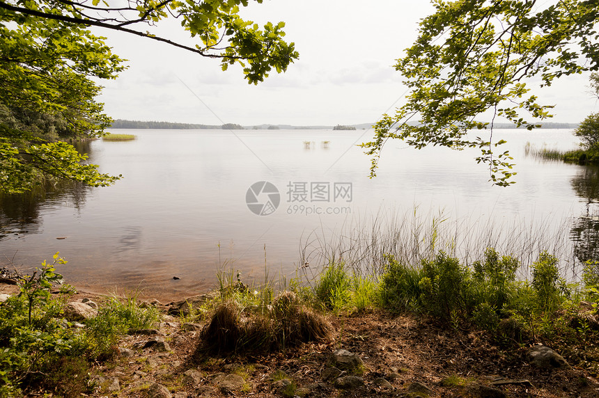 瑞典Asnen湖森林自然保护区树木牧歌旅行水域图片