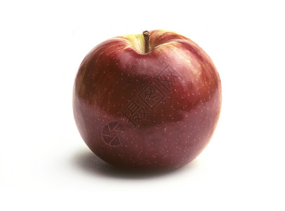 白色的单一麦金托什苹果高清图片