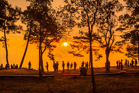 Phu Kradung国家公园日落树叶绿色旅行剪影公园沙丘天空地标日出背景图片