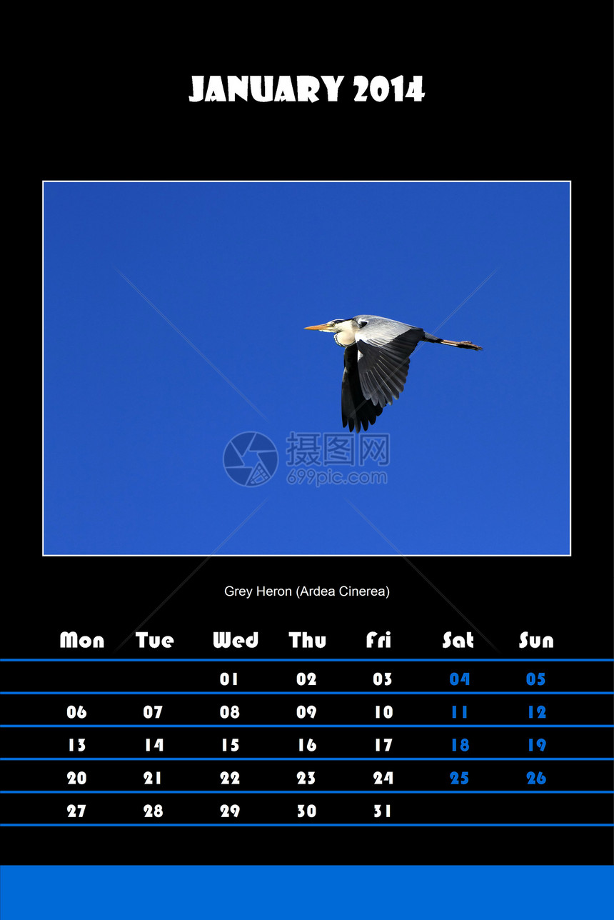 2014年鸟类日历     黄麻图片