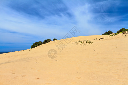 Sardinia - 皮斯西纳斯的Dune高清图片