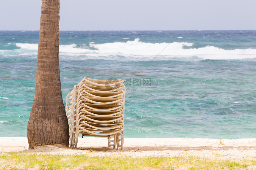 棕榈树下沙滩椅堆图片
