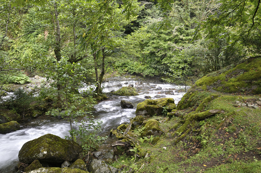 山河 地貌景观溪流岩石树木叶子绿色森林风景场景石头瀑布图片