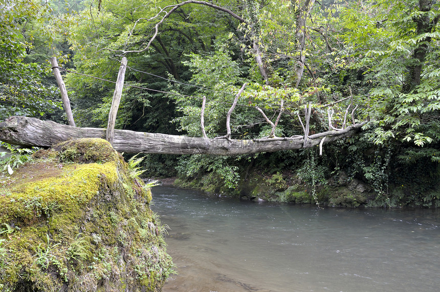 在河上架桥绿色危险山沟绳索旅行风景冒险叶子图片