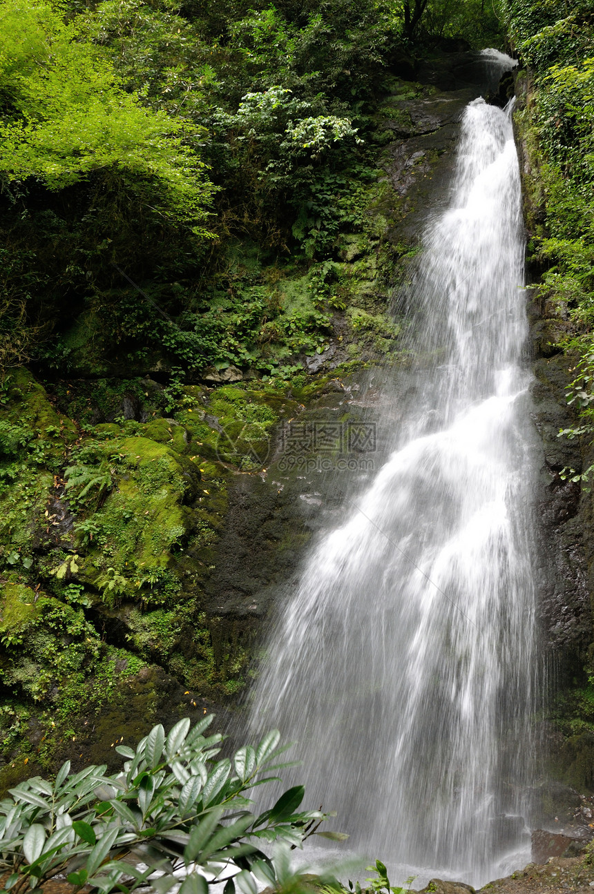 山地瀑水溪流石头绿色苔藓植物瀑布森林岩石风景图片