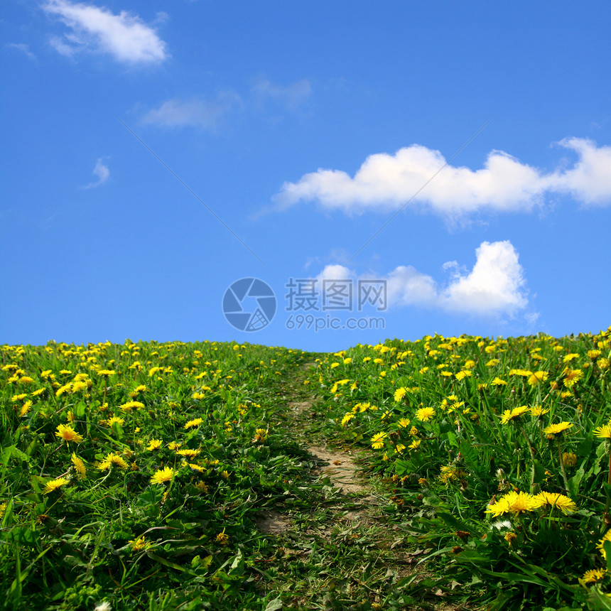 山地景观农场环境植物群天空场景植物公园国家蓝色叶子图片