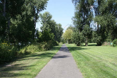 下多伦多夫化石中的青绿车道晴天活力绿色植物树木农村绿色植物树叶草地背景