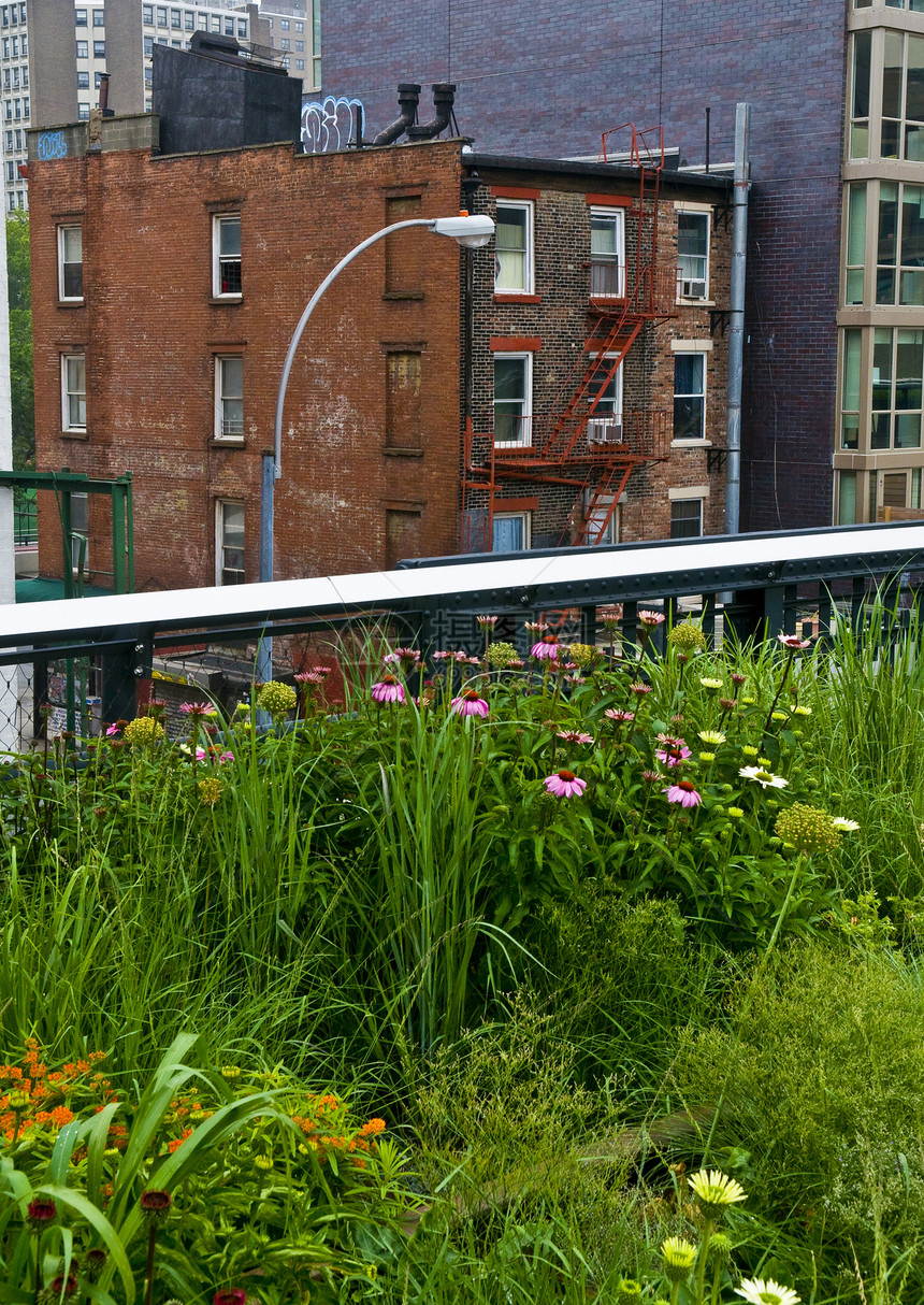 纽约高线公园景观建筑学房子花园建筑物公寓城市花朵图片
