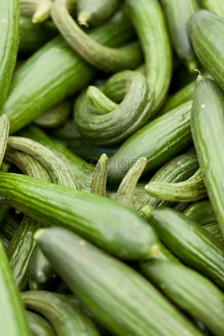 市场宏观上的新绿黄瓜农场养分植物收藏农民篮子食物沙拉蔬菜团体图片