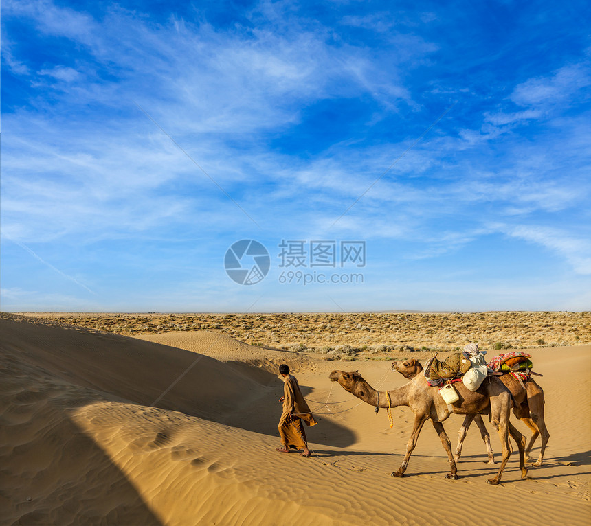 Cameleer骆驼司机和骆驼在Thar沙漠的沙丘旅行骆驼夫反刍动物游客男性异国航程假期大篷车旅游图片