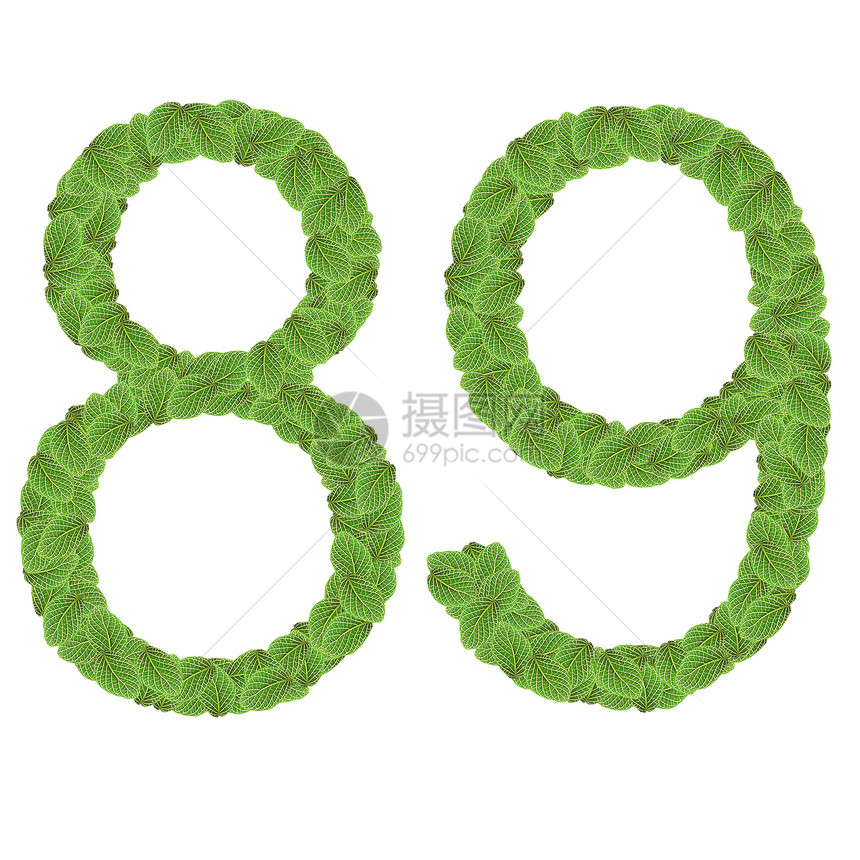 白色背景上的字母字母编号页89绿色植物收藏字体叶子学习艺术数字环境学校图片