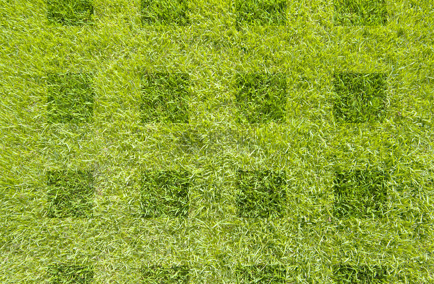 绿草质素和背景场地院子土地足球植物公园高尔夫球墙纸框架运动图片