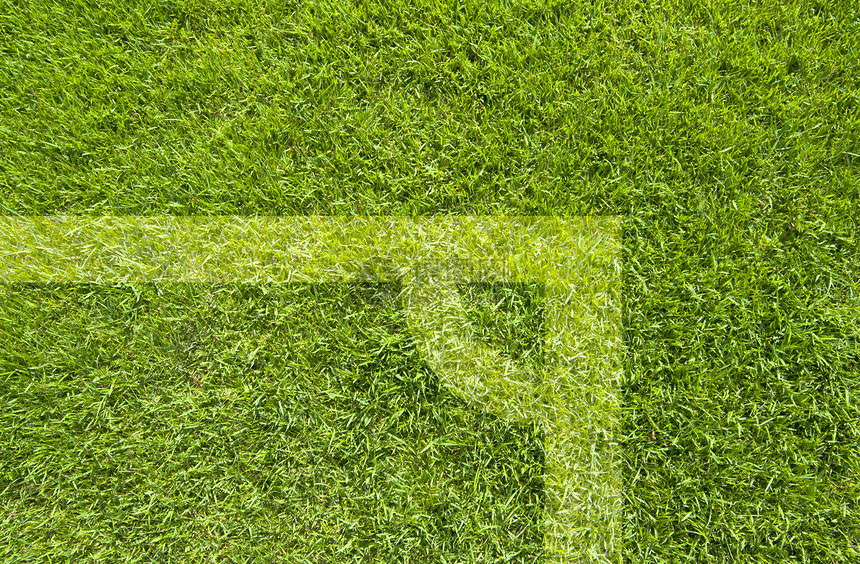 绿草质素和背景叶子草本植物高尔夫球绿色植物土地植物框架公园院子足球图片
