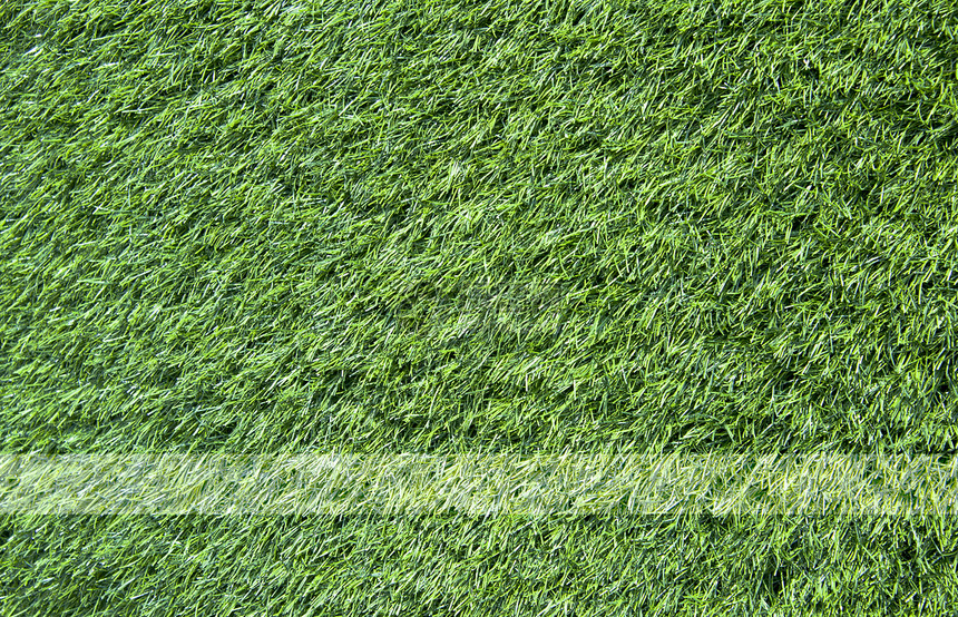 绿草质素和背景公园生长植物框架足球草本植物运动场地叶子墙纸图片