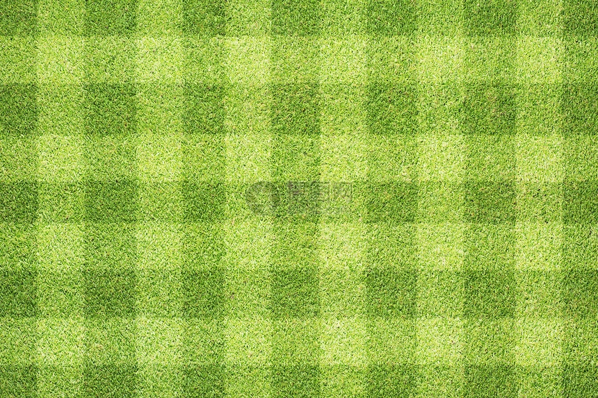 绿草质素和背景高尔夫球生长叶子绿色草本植物院子环境运动草地植物图片
